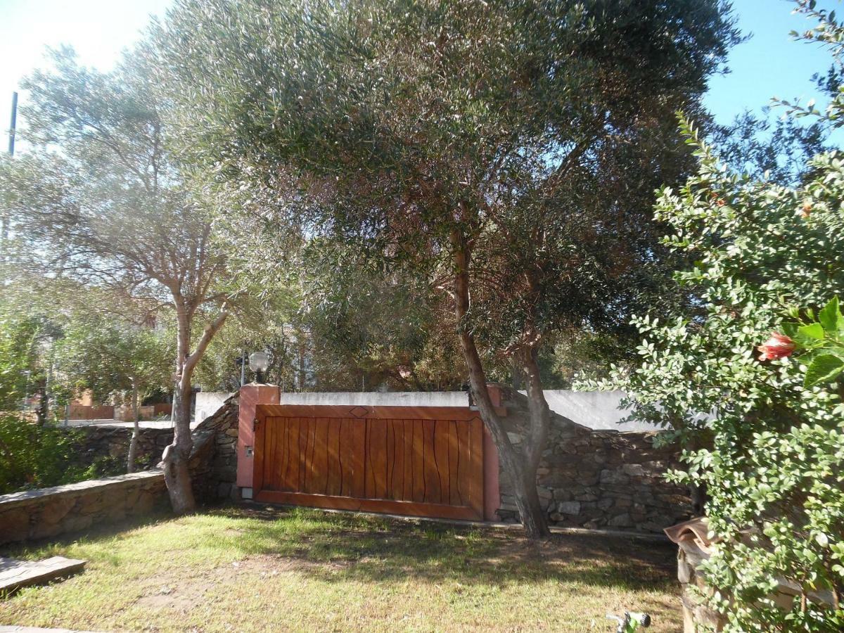 Villa Maestrale Olbia Exteriör bild